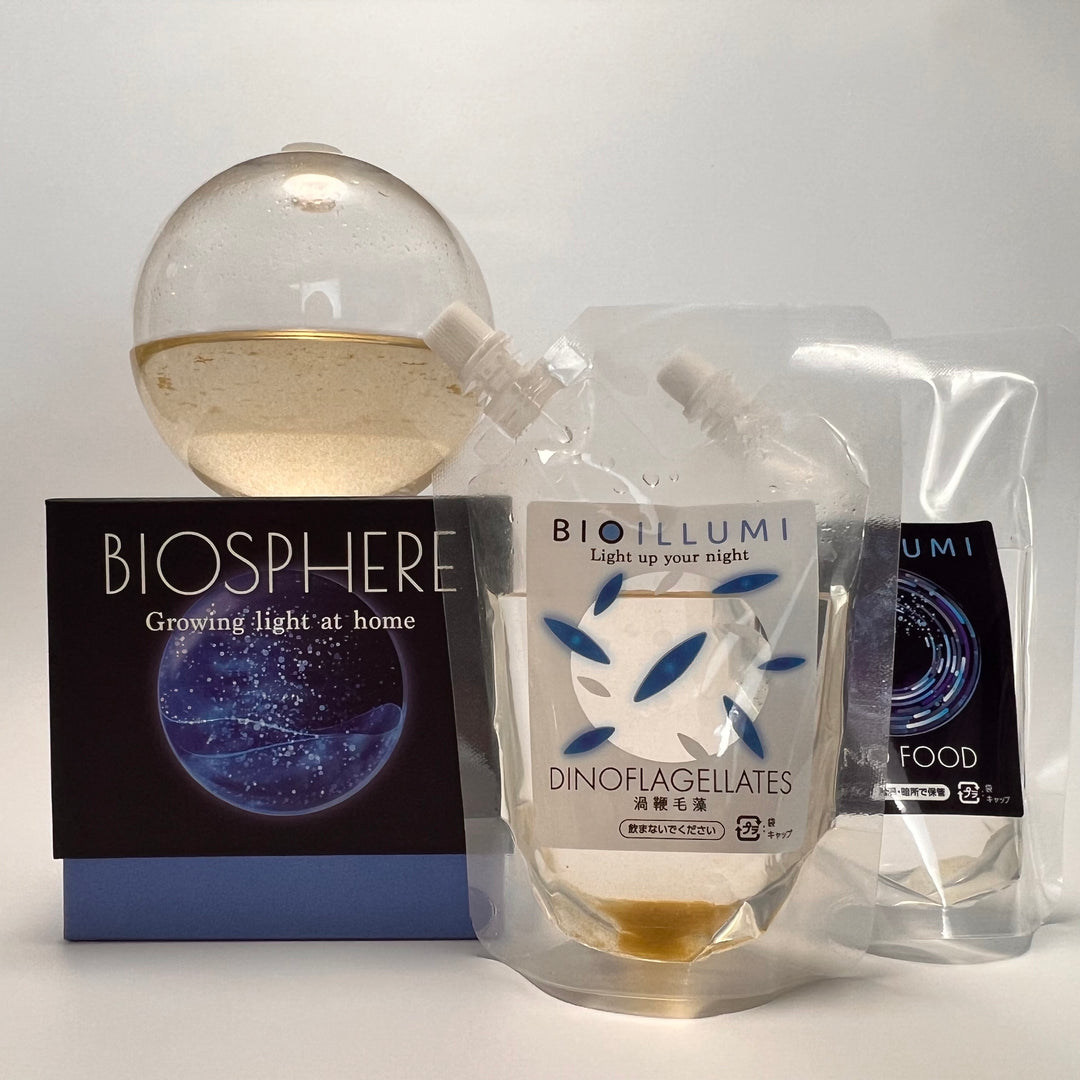 BIOSPHERE　基本飼育セット　