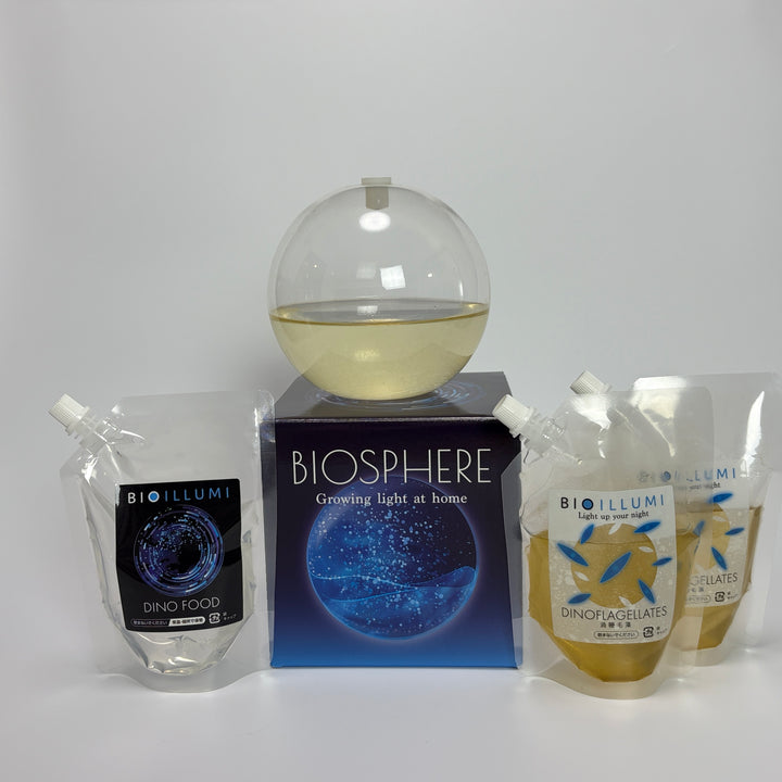 BIOSPHERE 迫力版(15cm)　基本飼育セット