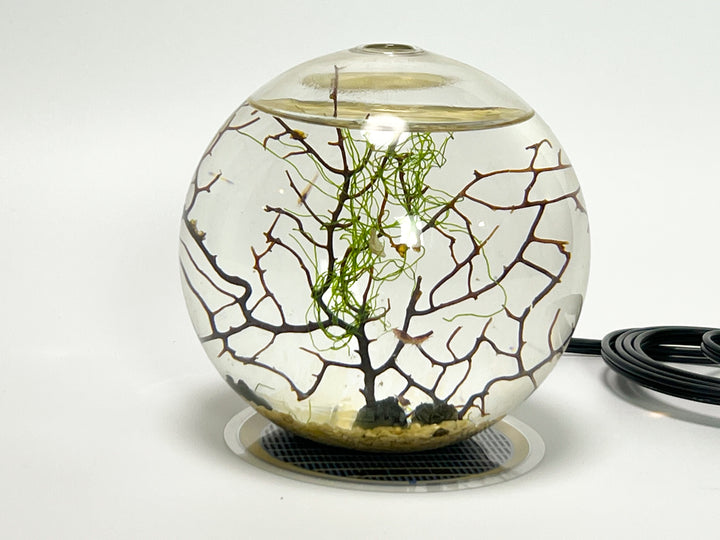 EcoSPHERE用保温パネル　(オパエウラ用 DINOには使用できません)【送料込み】